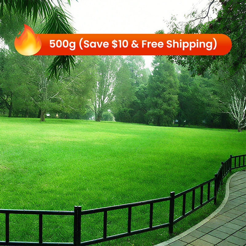 🔥Grass Seeds for Lawn and Golf Course
