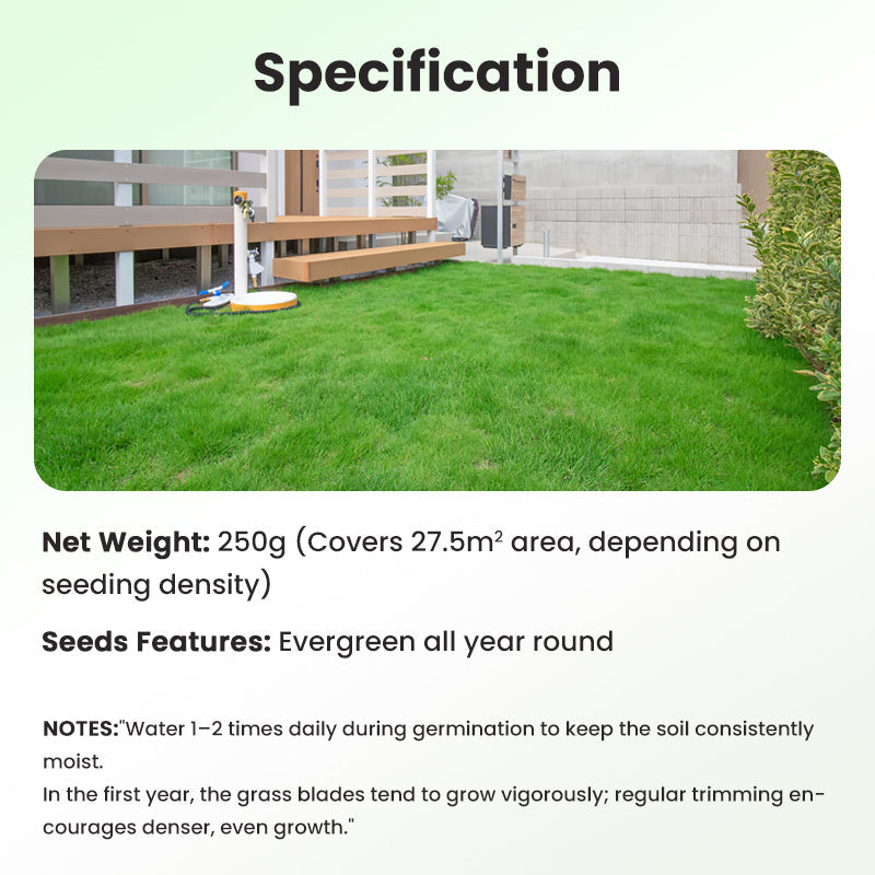 🔥Grass Seeds for Lawn and Golf Course
