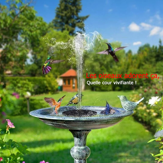 🔥Promoção Especial -50%🔥🔥Fontes Solares para Pássaros🐦