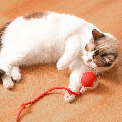 🐱🐶Bolinha Inteligente Automática para Pets – ATÉ 50% DE DESCONTO🐱🐶