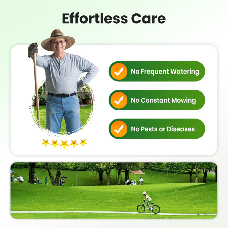 🔥Grass Seeds for Lawn and Golf Course