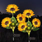 🌻50% DE DESCONTO EM VENDA RELÂMPAGO! ✨Luzes Solares de Girassol – Decoração Iluminada para Jardim 🌿