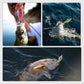🔥50% DE DESCONTO🐟Isca de pesca robótica com múltiplas articulações e LED⚡️Compra uma vez, usa infinitas vezes❗️