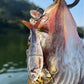 🔥50% DE DESCONTO🐟Isca de pesca robótica com múltiplas articulações e LED⚡️Compra uma vez, usa infinitas vezes❗️