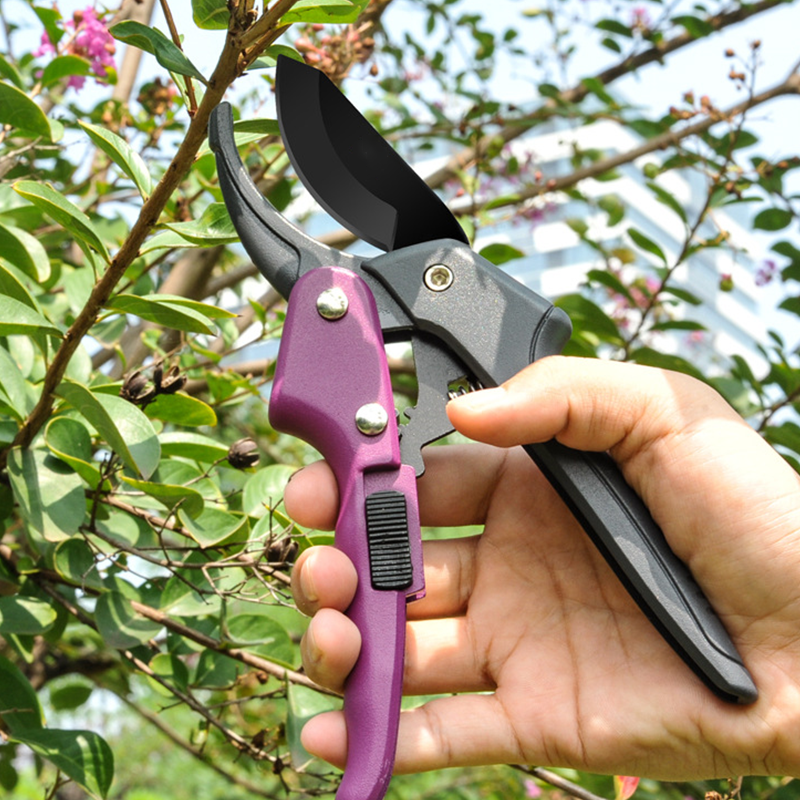 Professional Bypass Pruning Shears for Gardening
