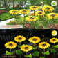 🌻50% DE DESCONTO EM VENDA RELÂMPAGO! ✨Luzes Solares de Girassol – Decoração Iluminada para Jardim 🌿