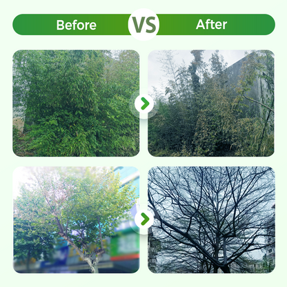 Powerful Ready-to-Use Weed & Root Killer