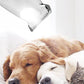 🐾Barbeador Elétrico para Pets: Seguro e Prático com Luz LED!💖