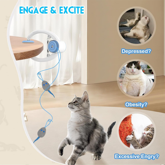 Brinquedos interativos para gatos de interior para pendurar