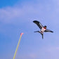 🔥 Novo Estilo 2026 🔥 Pipa Vara de Pesca Elástica Criativa para Crianças – Essencial para Quintal e Viagens