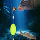 🏆MAIS VENDIDO 2026!🔥 Conjunto de Pesca com Dois Anzóis Invertidos no Fundo! 🎣