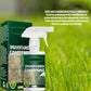 🔥Oferta especial: 50% de desconto no spray tinta verde grama