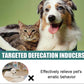 ✨ Spray Indutor de Defecação para Localização de Pets! 🐶🐱💩
