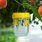 ☀️ Armadilha Suspensa Solar para Vespas e Mosca-das-frutas ✨