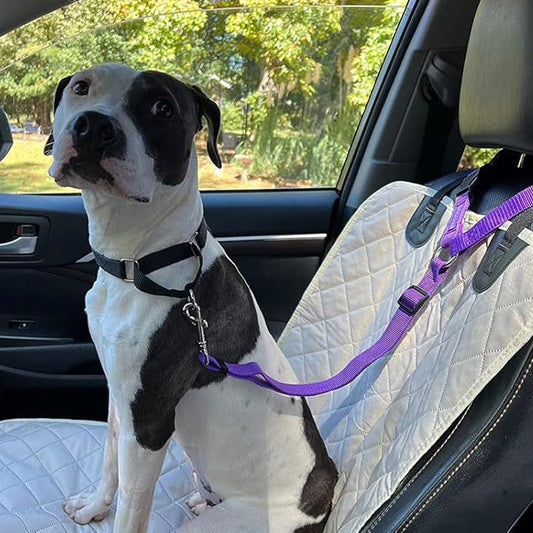 🐶 Cinto de Segurança Veicular e Guia de Passeio 2 em 1 para Cachorro 🚗