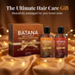 Kit Shampoo e Condicionador Reparador Multiefeito