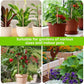 ⚡【Energia Natural no Jardim!】Suporte de Cobre para Plantas - Crescimento Turbinado!🌱✨