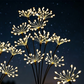 🏆ÚLTIMO DIA DE PROMOÇÃO, 50% DE DESCONTO!!🎁Luzes de Estaca Solar em Forma de Fogos de Artifício para Jardim